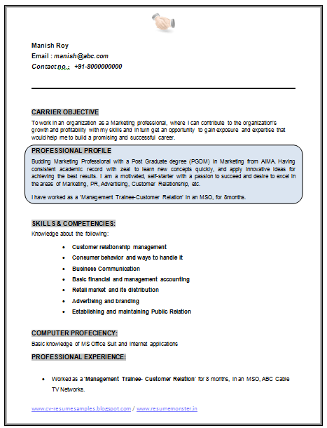 Resume format for marketing profile